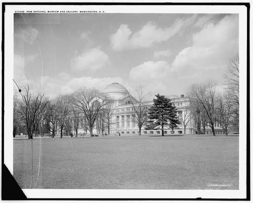 New National Museum [of Natural History] and Gallery, Washington, D.C.