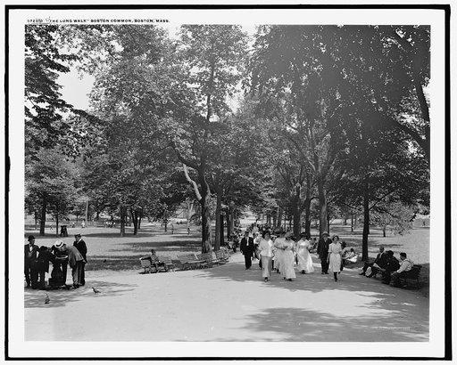The Long walk, Boston Common, Boston, Mass.