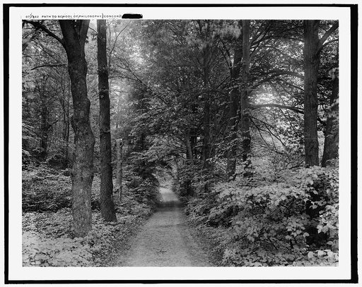Path to School of Philosophy, Concord, Mass.