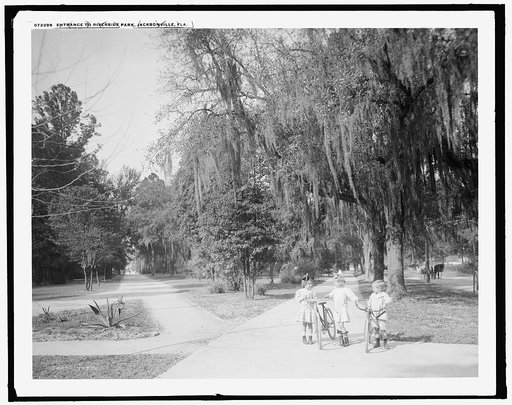 Entrance to Riverside Park, Jacksonville, Fla.