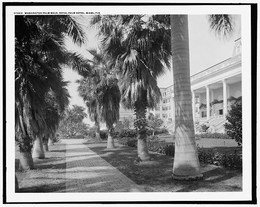 Washington Palm Walk, Royal Palm Hotel, Miami, Fla.