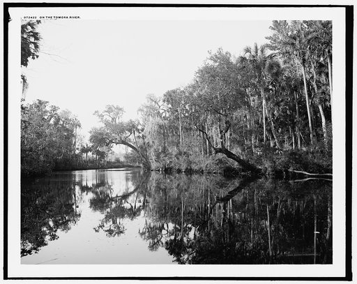 On the Tomoka River