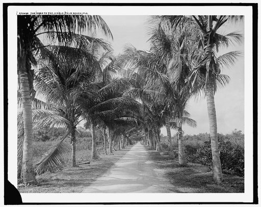 The Road to jungle trail, Palm Beach, Fla.