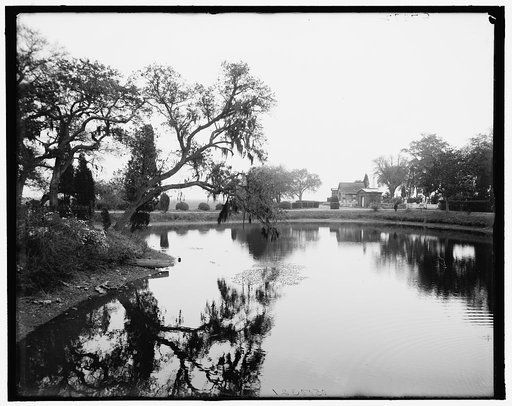 The Upper lake, Magnolia Cemetery, Charleston, S.C.