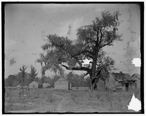 Magnolia-on-the-Ashley (i.e. Magnolia Gardens), cabin homes of the Negro caretakers, Charleston, S.C.