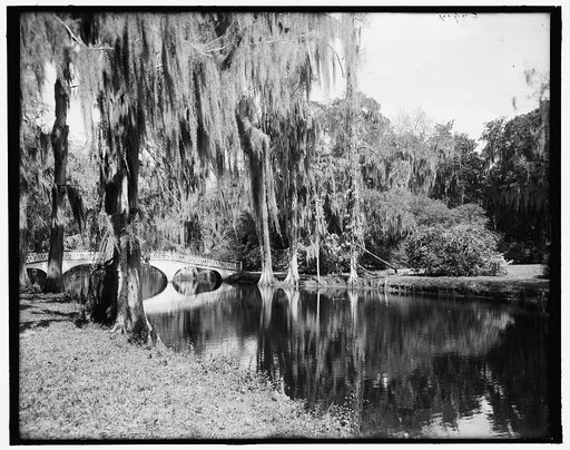 Magnolia-on-the-Ashley (i.e. Magnolia Gardens), nature's mirror, Charleston, S.C.