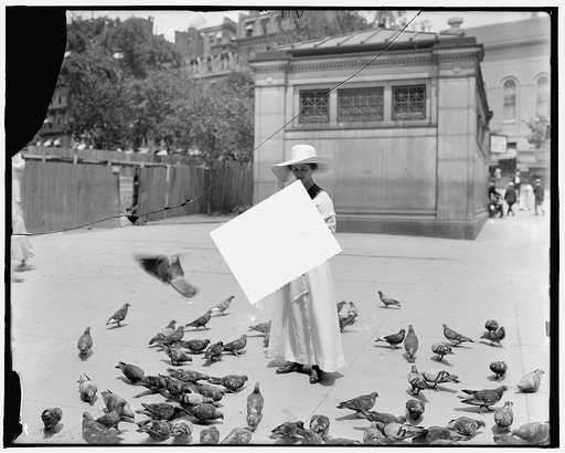 Feeding the pigeons, Boston, Mass.