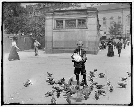 Feeding the pigeons, Boston Common, Boston, Mass.