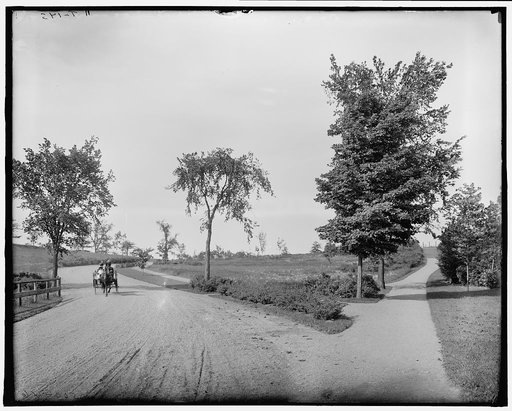 Fresh Pond Drive, Cambridge, Mass.