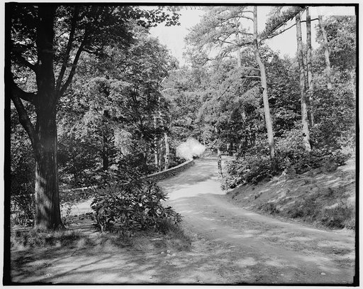 Road in Sleepy Hollow, Concord, Mass.