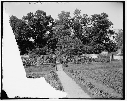 The Kitchen garden, Mt. Vernon, Va.