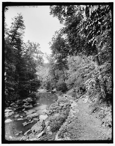 The Glen above the bridge, Natural Bridge, Va.