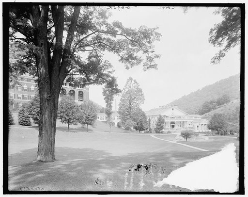 The Bath house & viaduct, Hot Springs, Va.