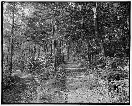 Flirtation Walk, West Point, N.Y.