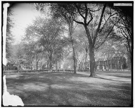 Lincoln Park, Portland, Maine