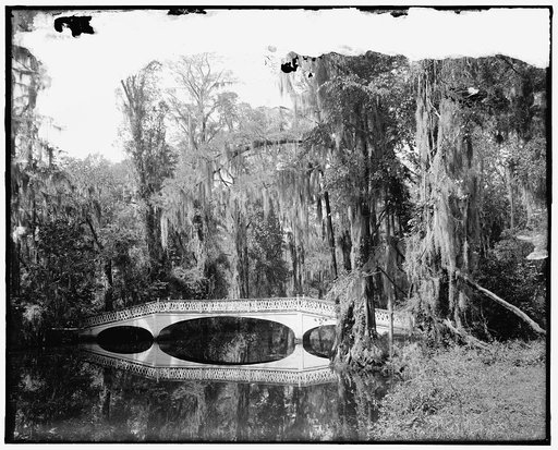 Bridge and waterfront, Magnolia Gardens, Charleston, S.C.