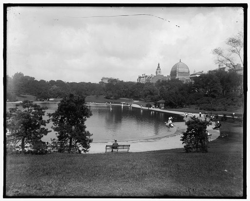 Lake in park