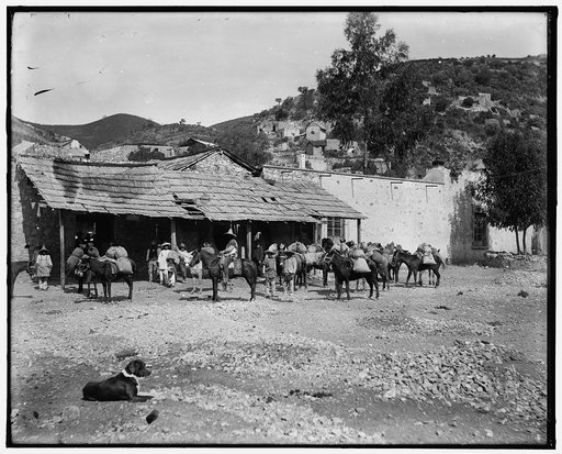 Mule caravan at town, Mexico