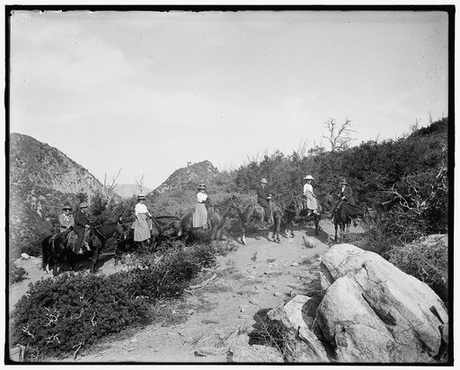 Tourist party in mountains