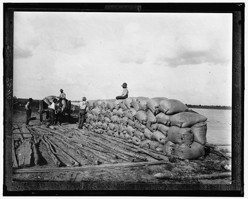 Laborers piling filled sacks at shorelines