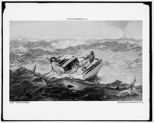 The gulf stream