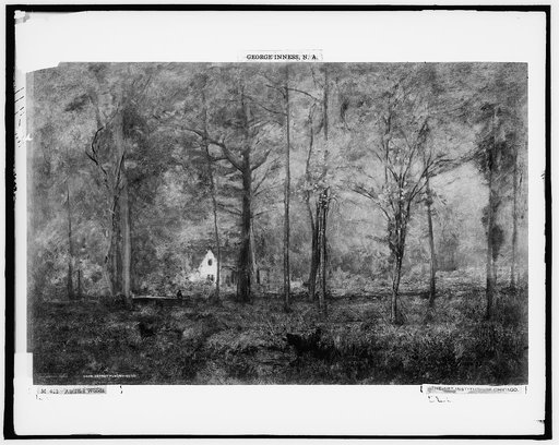 Autumn woods