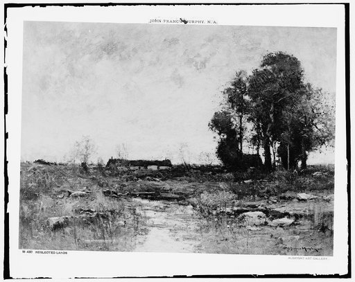 Neglected lands
