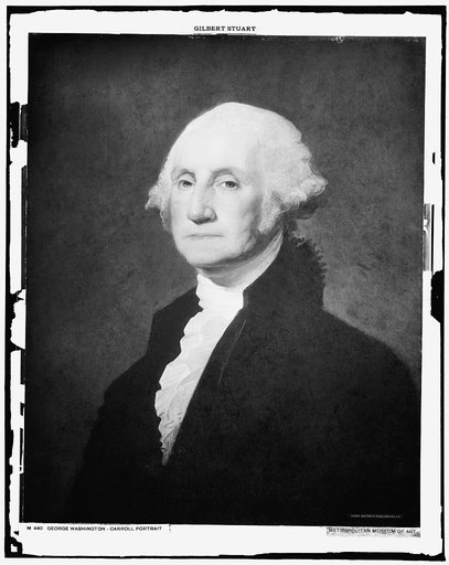 George Washington, Carroll portrait