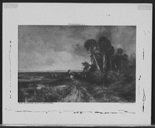 Bringing home the cattle, coast of Florida