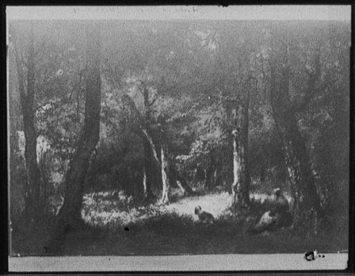 Pastoral scene in woods