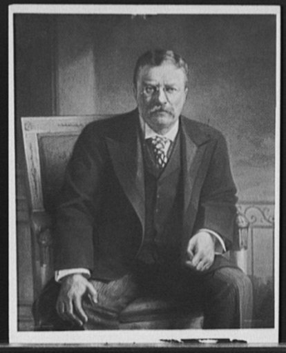 Theodore Roosevelt