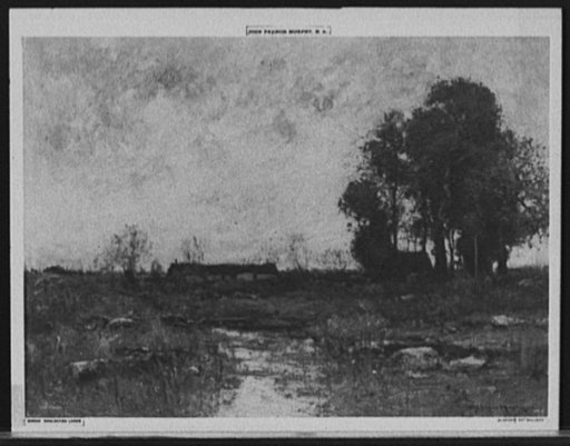 Neglected lands