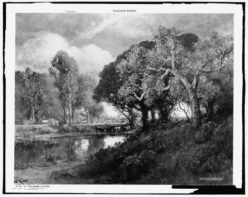 By the creek, Sonoma