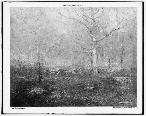 Spring woods
