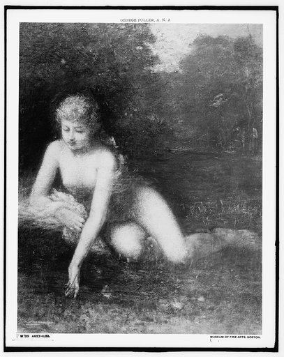 Arethusa