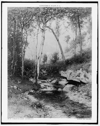 A mountain brook, Adirondacks