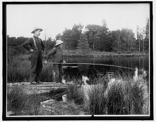 Man and boy fishing by shore