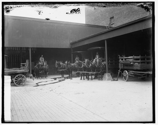Truck yard, Gordon Pagel Co.