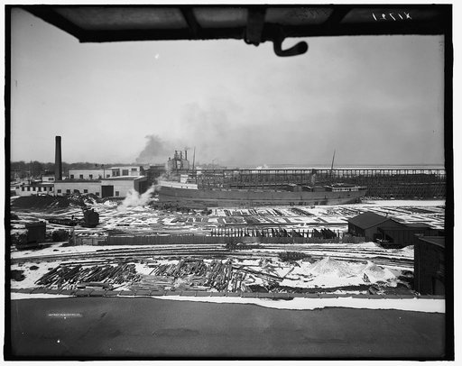 Bird's-eye view of Wyandotte plant