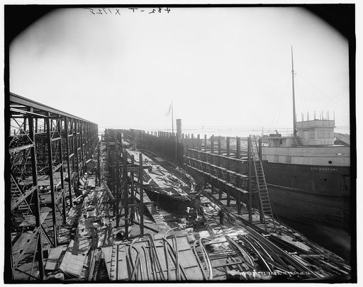 Wyandotte yard