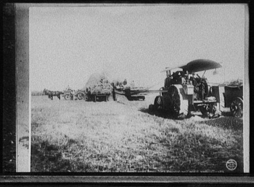 Threshing wheat near Sedgwick, Colo., South Platte Valley on Union Pacific