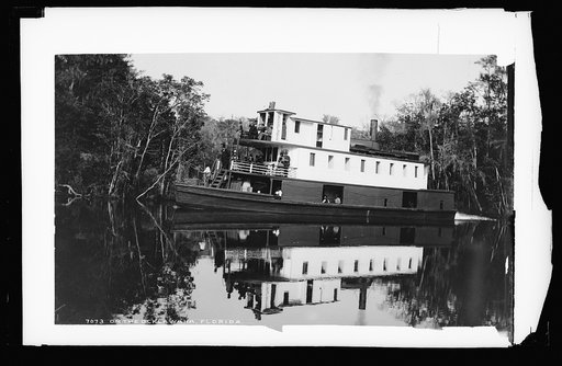 On the Ocklawaha [sic], Florida