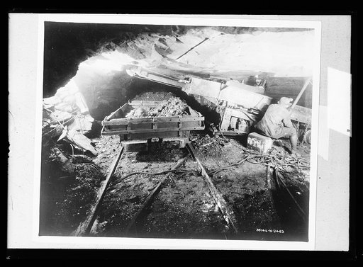 Hauls scraper and loads coal