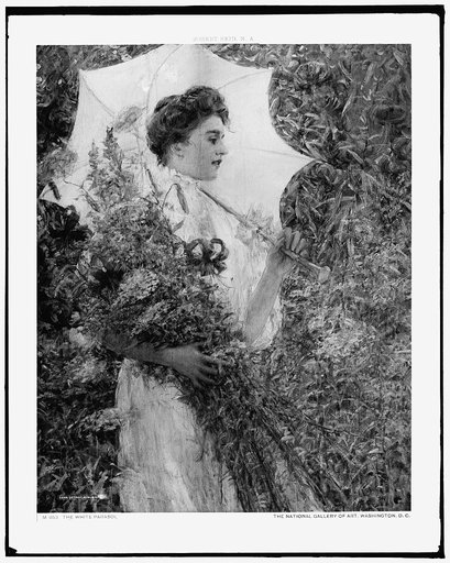 The white parasol
