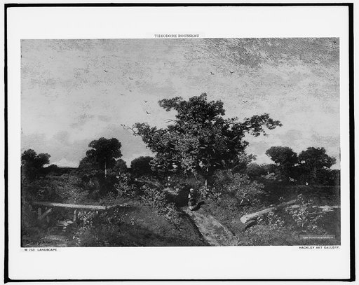 Landscape