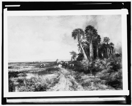 Bringing home the cattle, coast of Florida