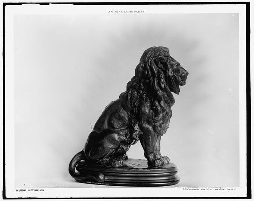 Sitting lion