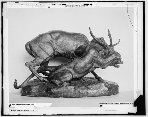 Panther seizing a stag
