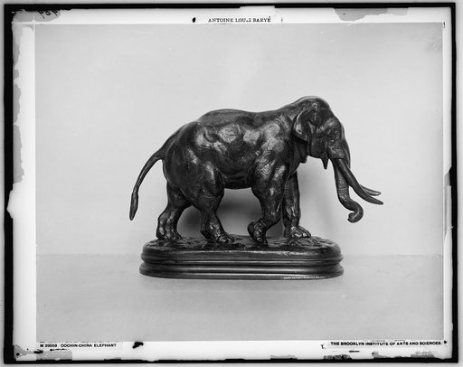 Cochin-china elephant