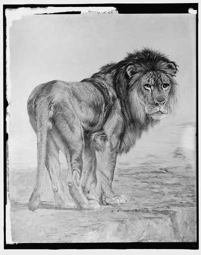 Painting of a lion